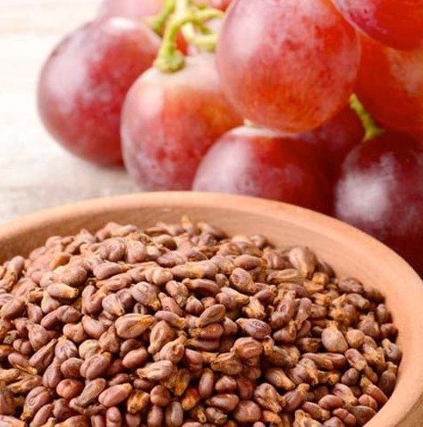 Grape Seed Extract in Spartamax
